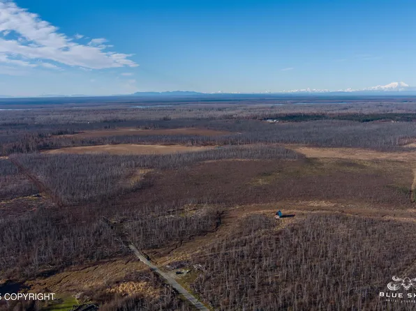 41357 W Krantz Rd, Willow, AK 99688