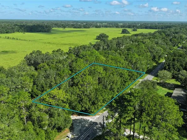 14850 SW 119th Ct, Dunnellon, FL 34432