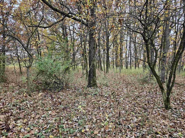 95.69 acres Highway 33, La Valle, WI 53941