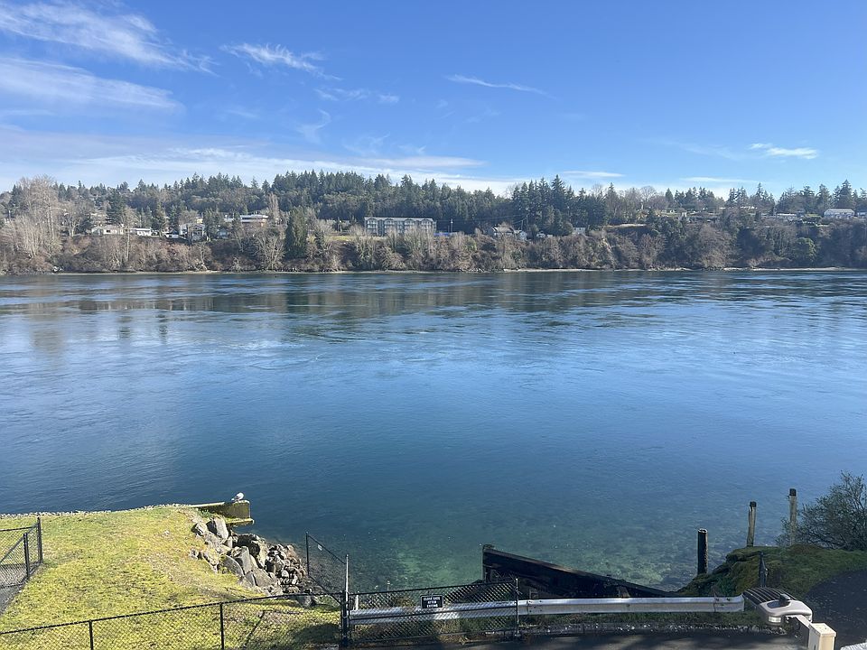 nest of eagles near this spot