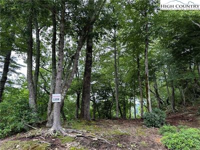 Lot 135R Firethorn Trail, Blowing Rock, NC, 28605
