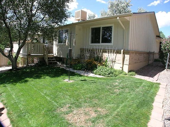 Low-Maintenance Grass Area