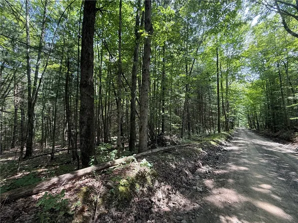 W Whitcomb Rd Lot 13, Barton, NY 13734