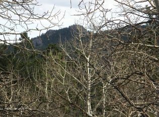 295 Hurricane Hill Dr, Nederland, CO 80466