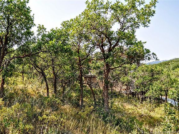5th image of 85 Hidden Oaks Ln