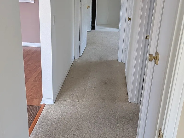 823 Maple St #2 — Photo 40