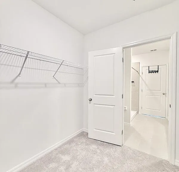 641 Bald Cypress Dr — Photo 60