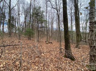 395 W Chestnut Ridges Rd #14, Hendersonville, NC 28739