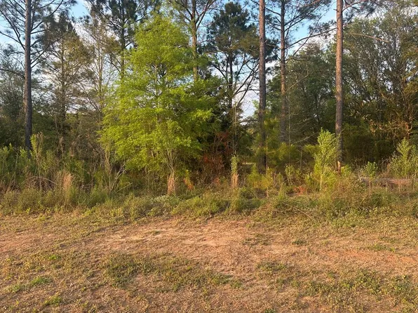 119 Partridge Cir, Leesburg, GA 31763