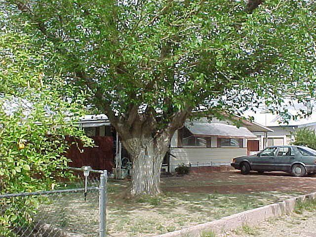 296 E. Donna Dr.