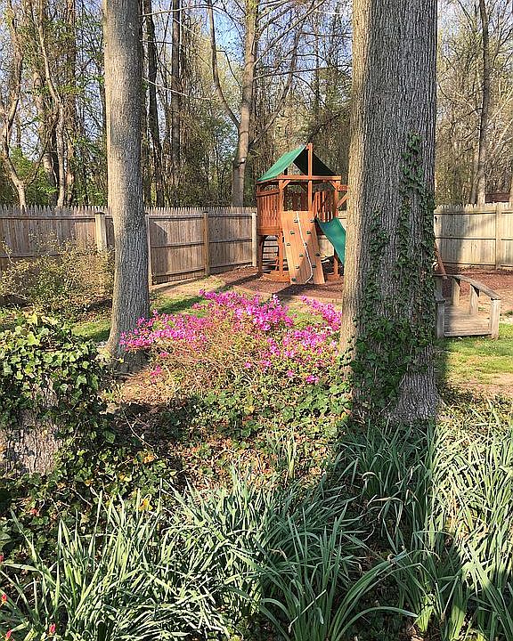 Fenced back  yard
