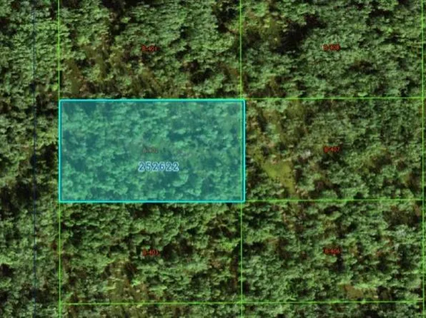 Commonwealth Ave N, Polk City, FL 33868