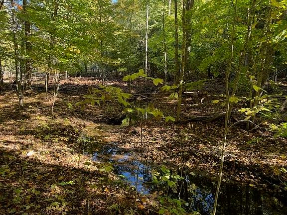 4th image of 4722 S State Rd