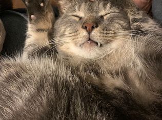 176 Dalkeith Rd, Rochester, NY 14609