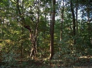 460 Washboard Rd, Cleveland, GA 30528