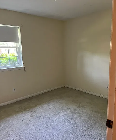 409 Kingston Rd — Photo 5
