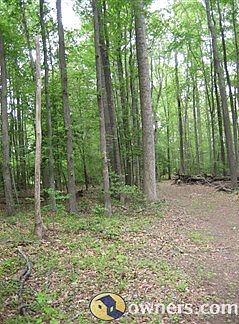 more hardwoods