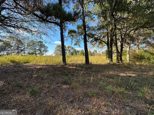 1544 & 1550 Melvin Harris Rd, Manchester, GA 31816