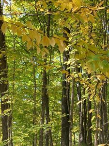 On Stevens Rd Tract 4050, Menomonee Falls, WI, 53051