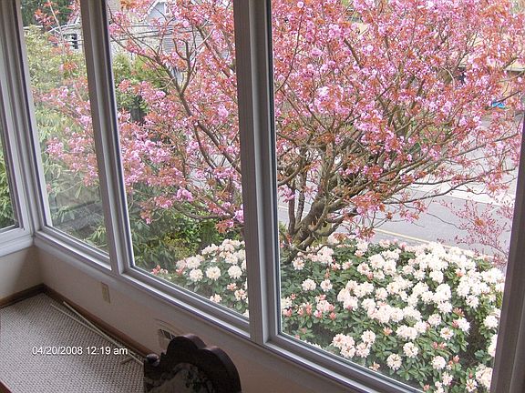 from dinning room spring