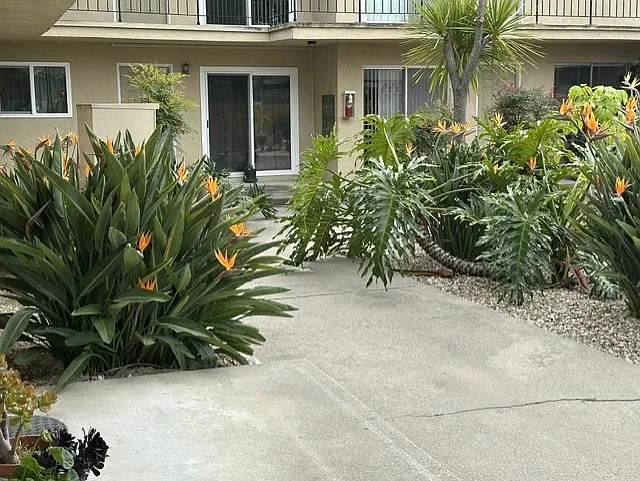 140 Ferrini Rd #10 — Photo 3