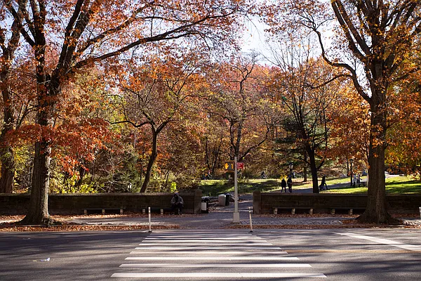 Rented by Blip LLC | media 30