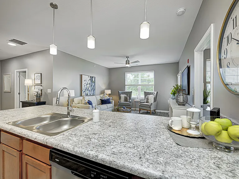 Preserve on Blue Road Apartments — Photo 65
