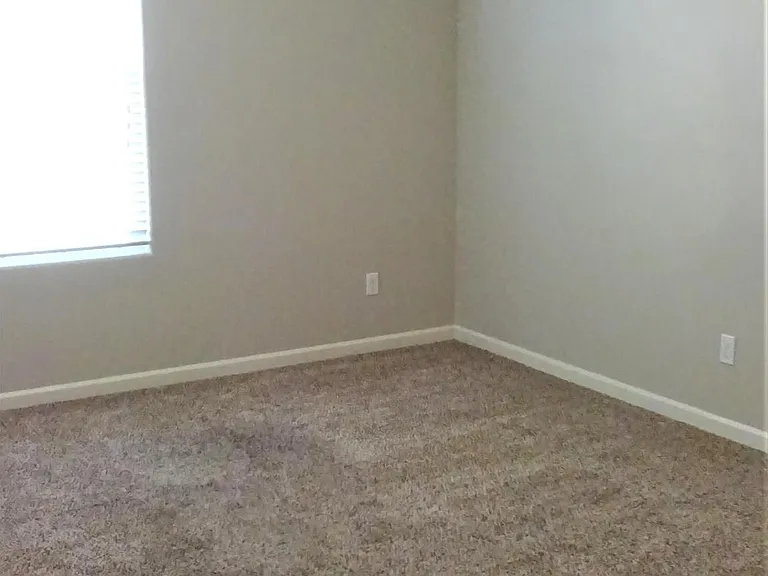 3517 Generosity Way — Photo 23