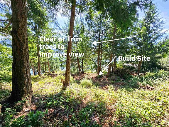 4th image of LOT 9 Collingwood Rd