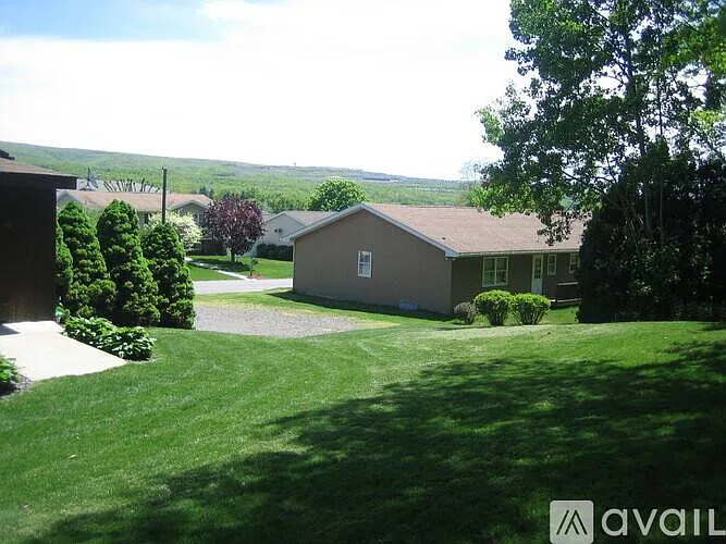 Shared Yard