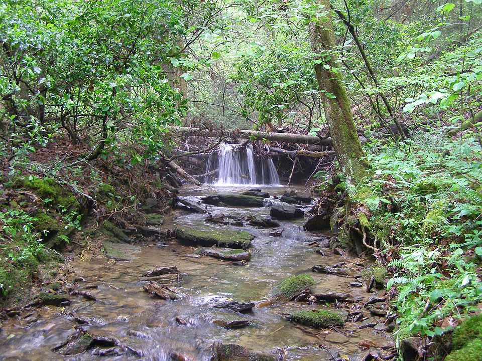 1st image of Wassom Memorial Highway