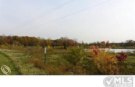 Back View of Wetlands
