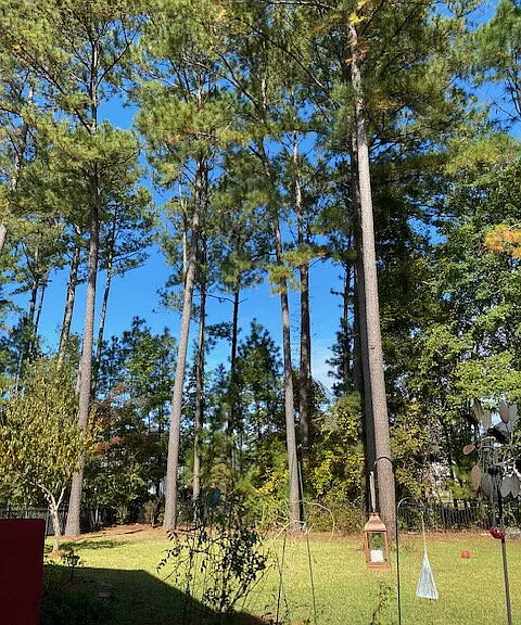 23 Lake Heron Ct W — Photo 57