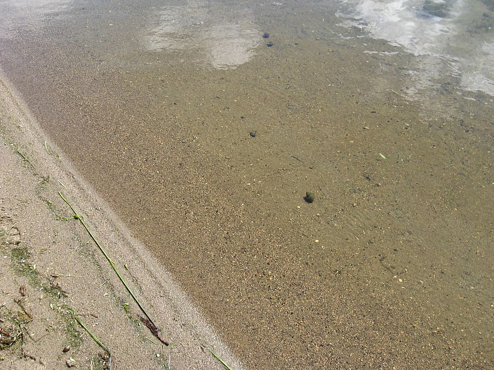 1st image of 14200 260th Ave