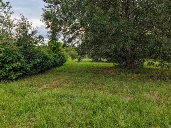 11103 Buddy Ellis Rd, Denham Springs, LA 70726
