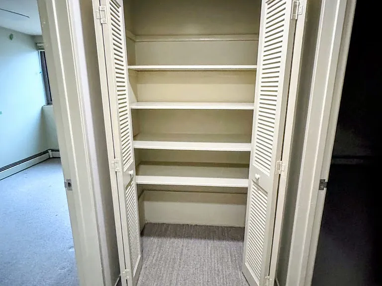 Downstairs Closet