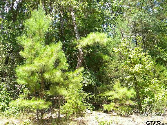 3rd image of 510-511-512 Wild Lake Path