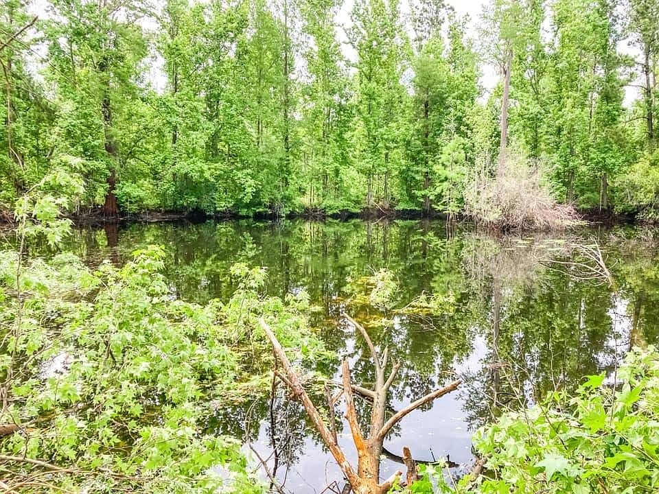 0 NW Azalea St, Bristol, FL 32321 Zillow