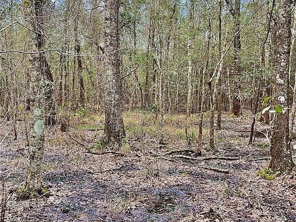 4th image of Brown Rd
