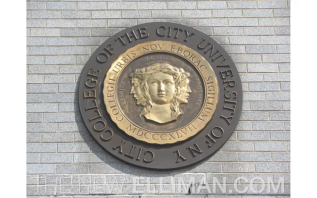 Sold by Douglas Elliman | media 15