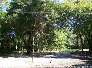 266 Sargent Ave, Oak Hill, FL 32759