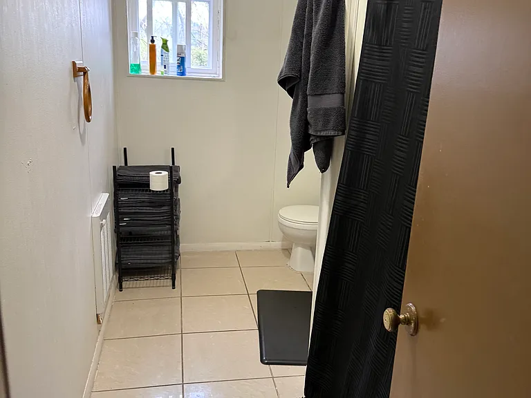 36 Roushey St #2C — Photo 6