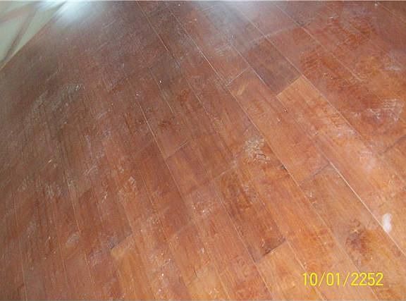 5th image of 1001 Cedarmont Dr