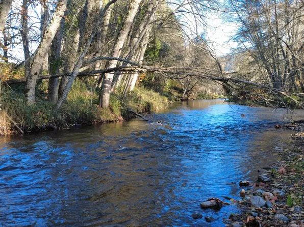 188 Pisqually Ln, Azalea, OR 97410