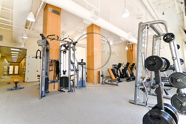 Rented by Olnick Organization | media 16