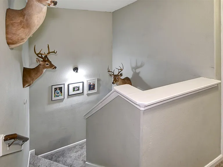 25401 Hunting Trl — Photo 28