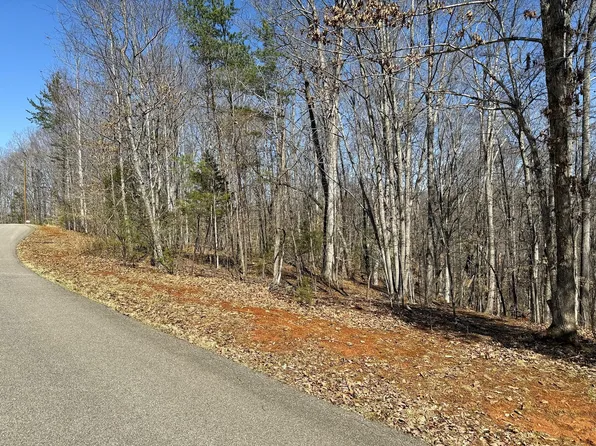LOT 17 Gap Bridge Rd, Moneta, VA 24121