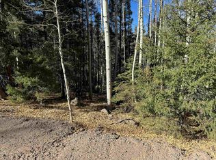 LOT 721 Santo Domingo Trl, Angel Fire, NM 87710