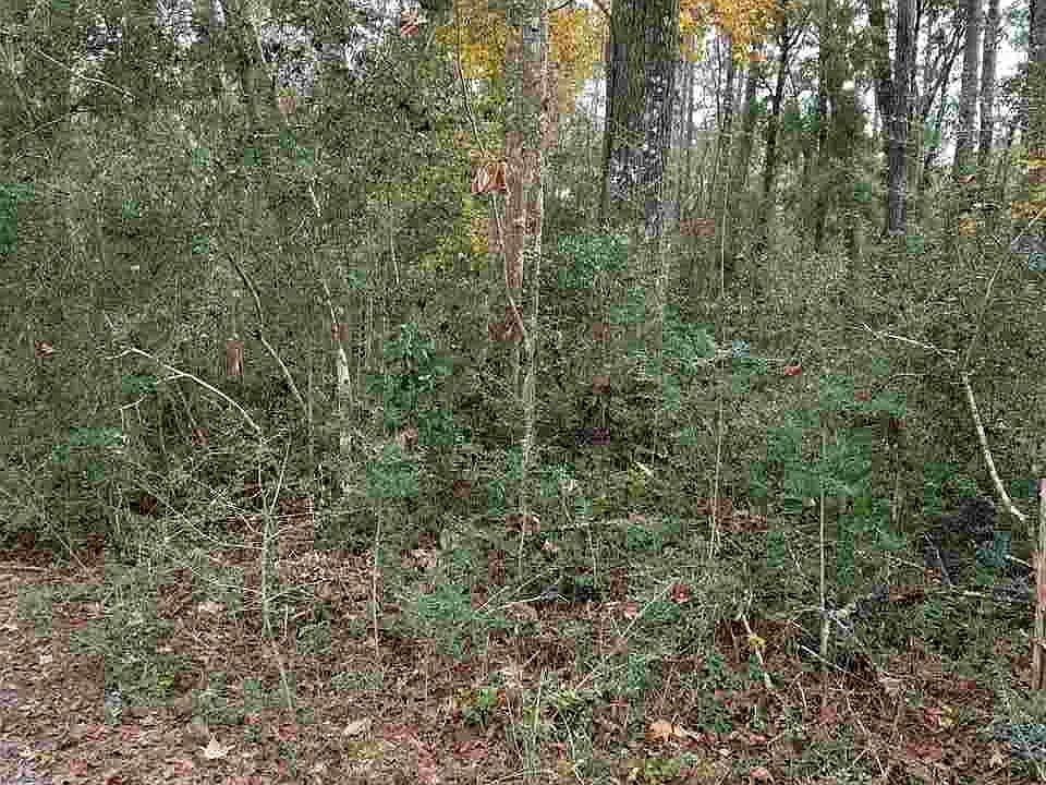 2nd image of Page Oliver Rd