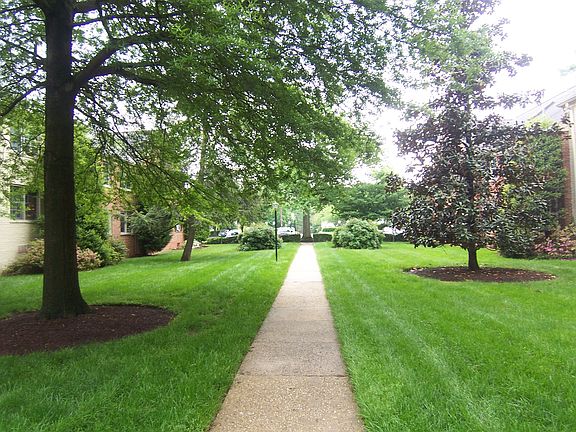 mature trees/open courtyards